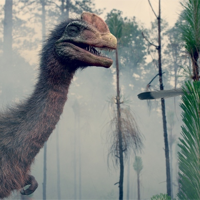 5 Innovative Animation Techniques That Transformed The Industry